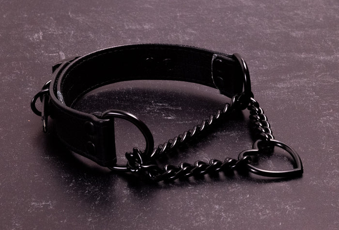 12.5" - 15.5" All Black Leather Martingale Collar _ LIMITED _