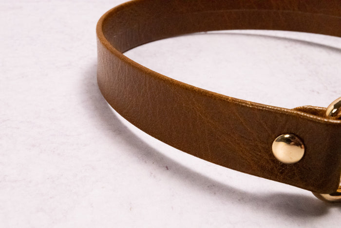 Caramel & Gold Heart Locking Martingale Collar _ LIMITED _
