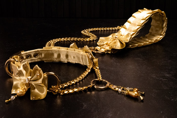 "Duchess" - Champagne & Gold Luxury Leash _ LIMITED _