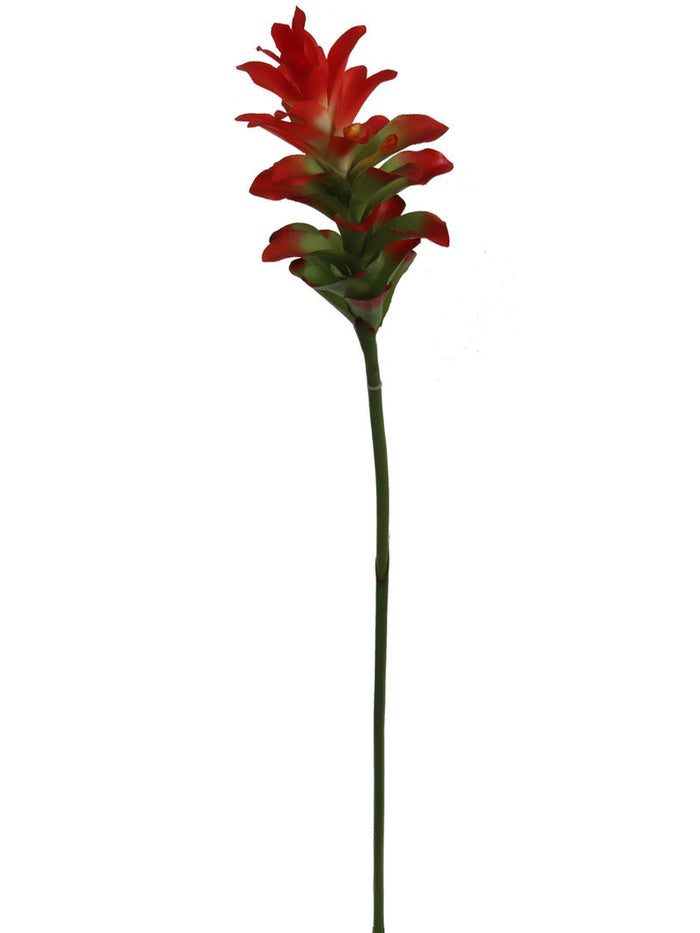 Ginger Flowers - 31"