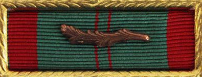 Ribbon Unit: Vietnam Civil Action First Class with palm and small frame. Palm attachment included but not mounted.