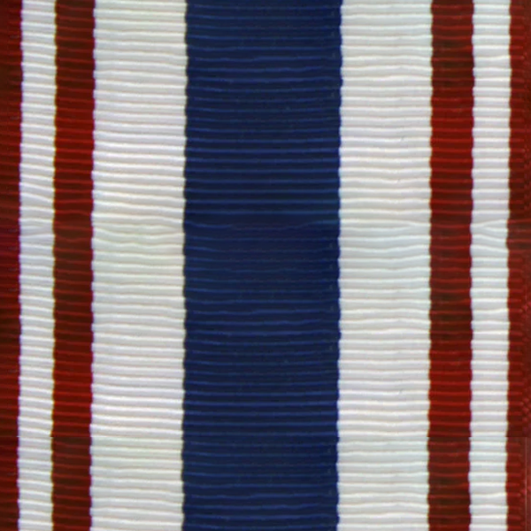 Ribbon Yardage Defense of Freedom
