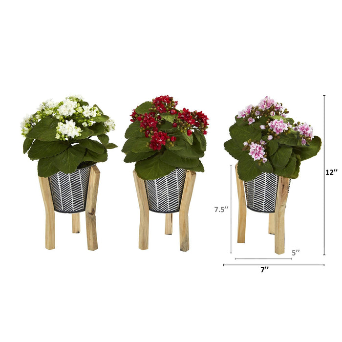 12” Kalanchoe Plant in Tin Planter with Legs (Set of 3)