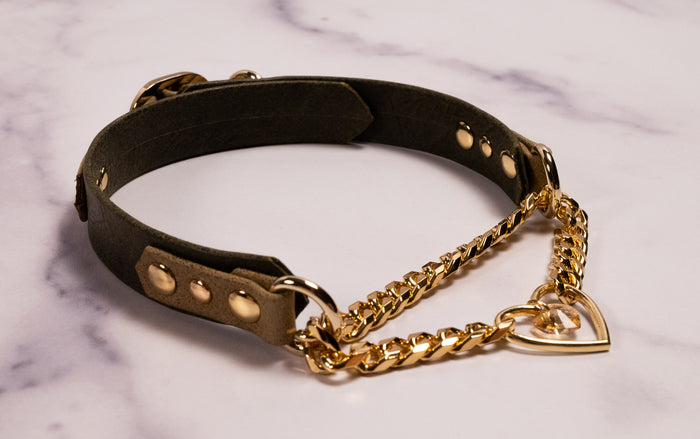 12.5" - 15" Gold & Olive Bark Leather Crystal Heart Martingale Collar _ LIMITED _