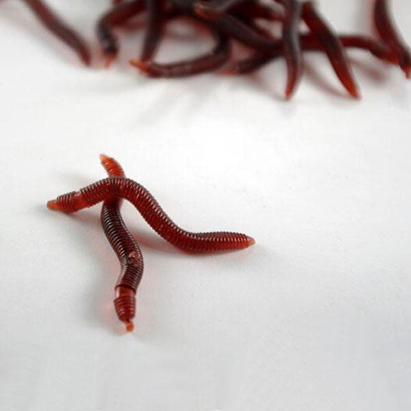 1pc Soft EarthWorm Fishing Lures Silicone Red Worms Bait Plastic - GhillieSuitShop