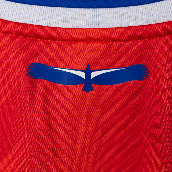 Red jersey chest detail with blue collar and winged emblem