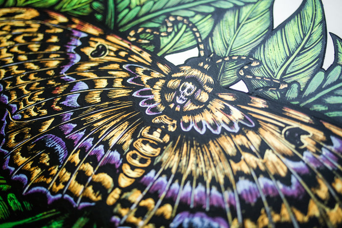 Black Witch Moth (Silkscreen Print)