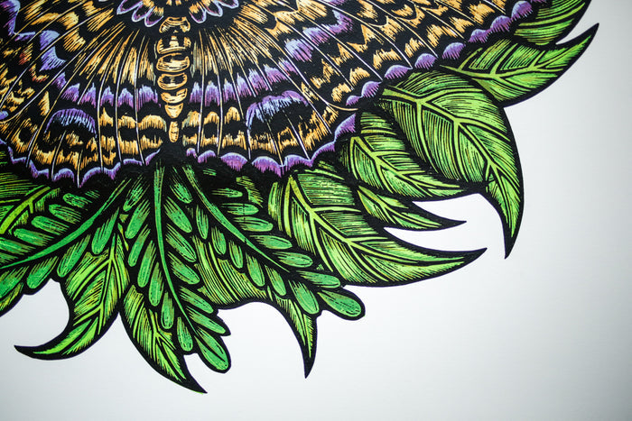 Black Witch Moth (Silkscreen Print)