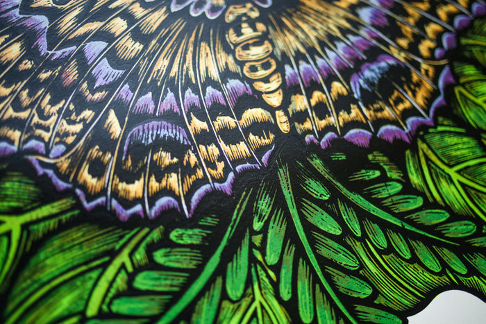 Black Witch Moth (Silkscreen Print)