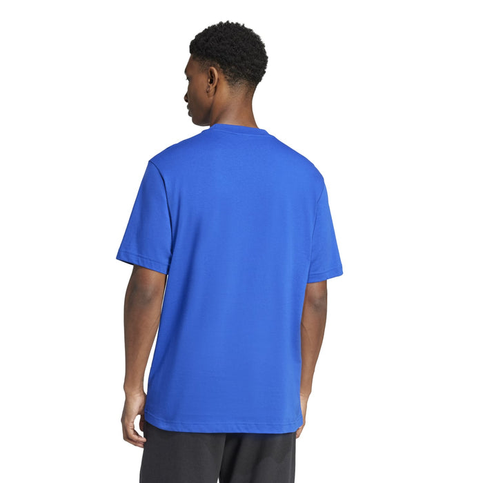 Men's Team Royal Blue T-shirt back view, plain crew neckline
