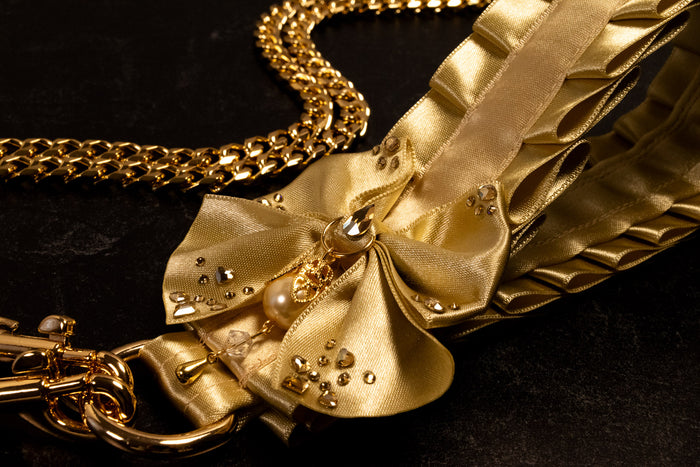 "Duchess" - Champagne & Gold Luxury Leash _ LIMITED _