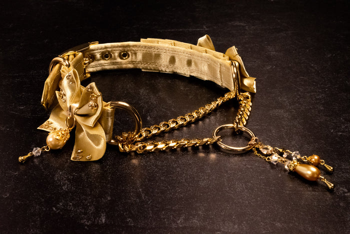 "Duchess" - Champagne & Gold Luxury Martingale Collar _ LIMITED _