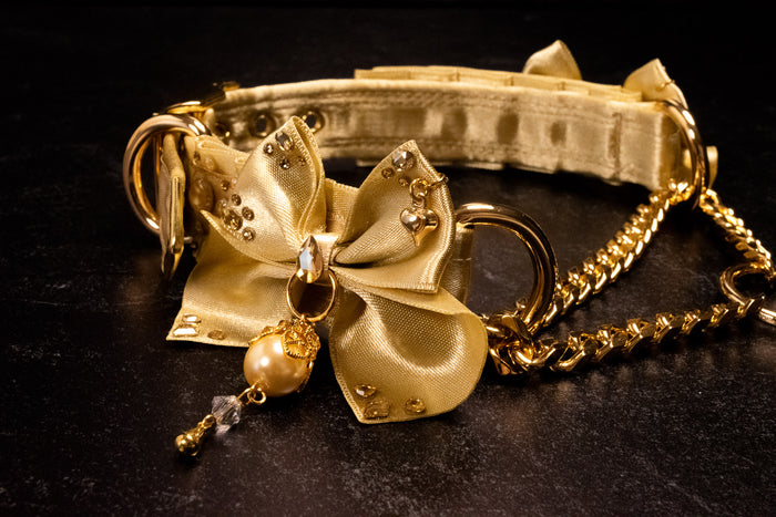 "Duchess" - Champagne & Gold Luxury Martingale Collar _ LIMITED _
