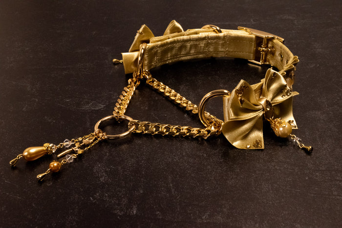 "Duchess" - Champagne & Gold Luxury Martingale Collar _ LIMITED _
