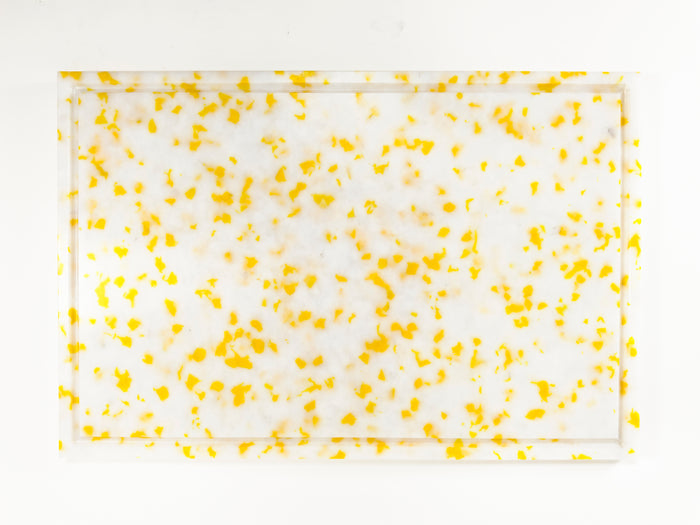 Extra Large Yellow/White Cutting Board
