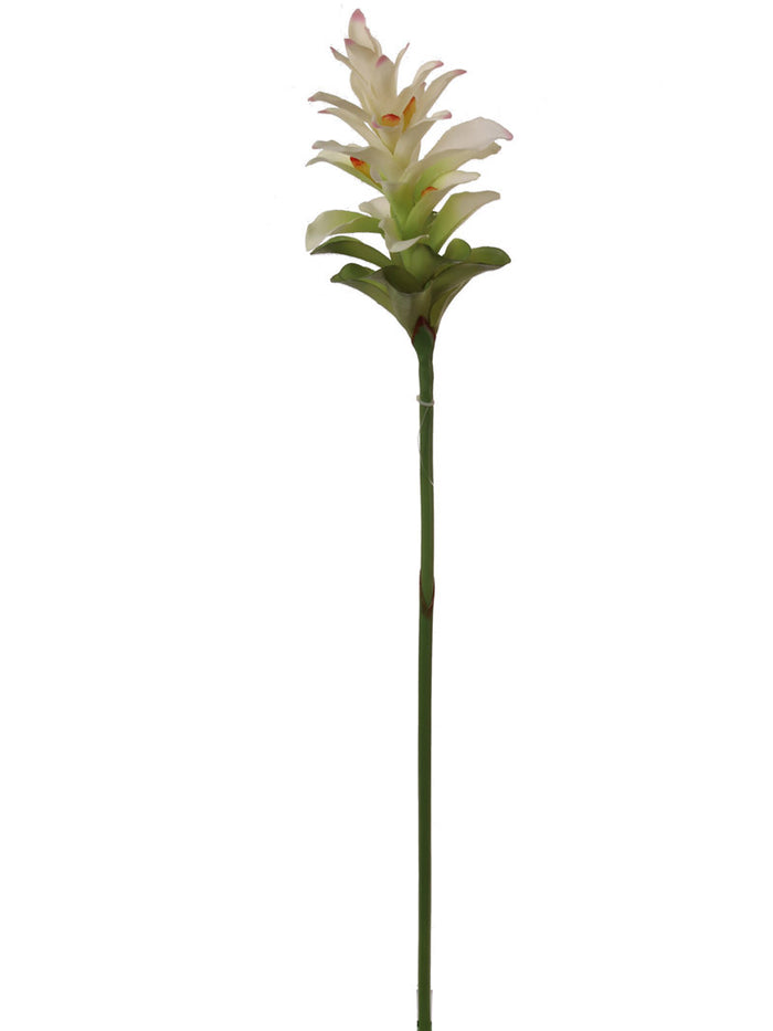 Ginger Flowers - 31"