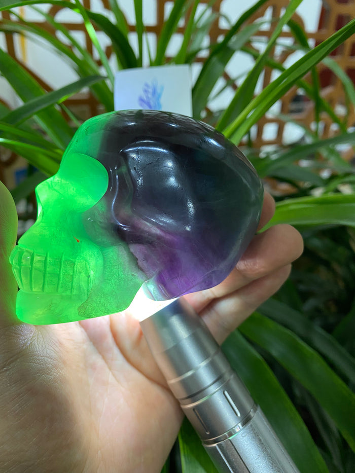 Green fluorite<skull>