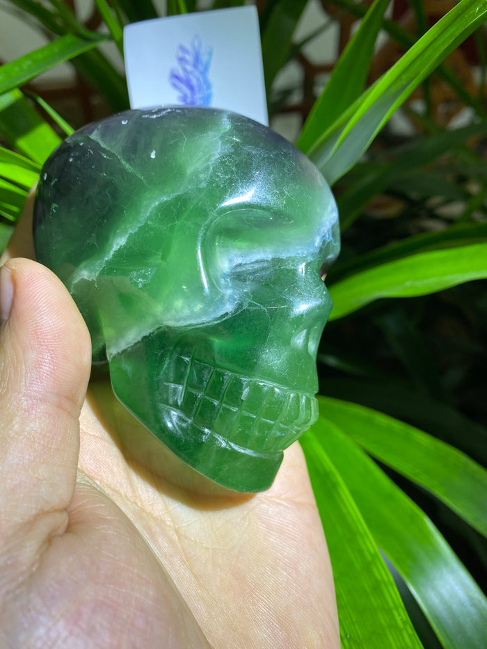 Green fluorite<skull>