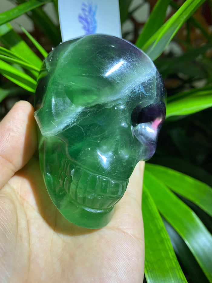 Green fluorite<skull>