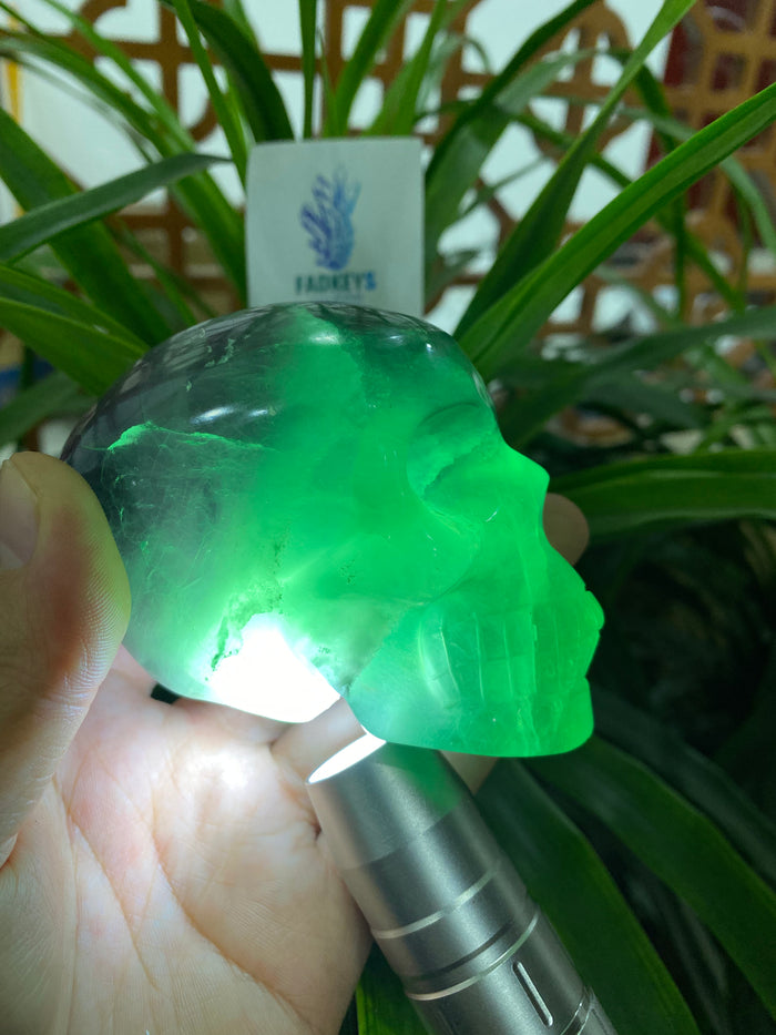 Green fluorite<skull>