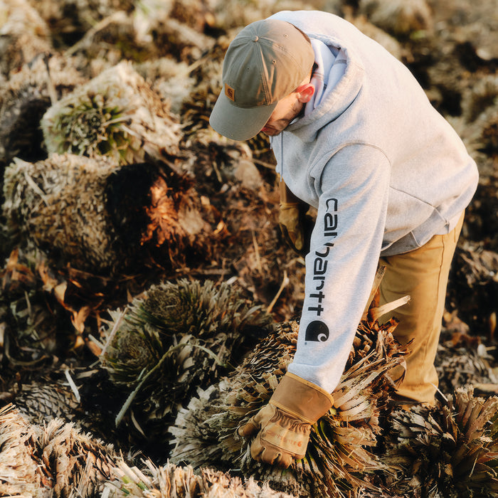 Heather gray Carhartt hoodie with hood and Carhartt logo on sleeve, kangaroo pocket.