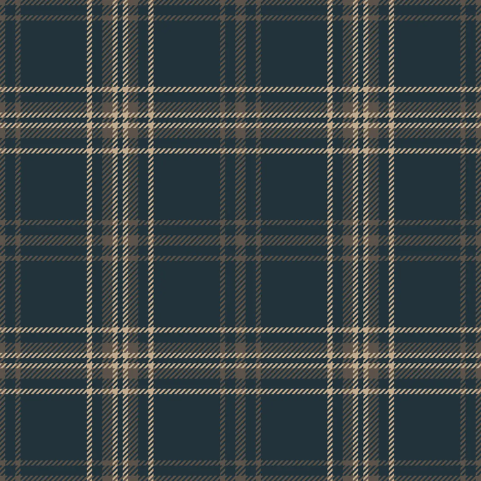 Plaid Navy