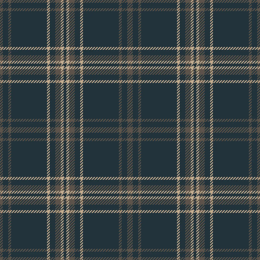 Plaid Navy