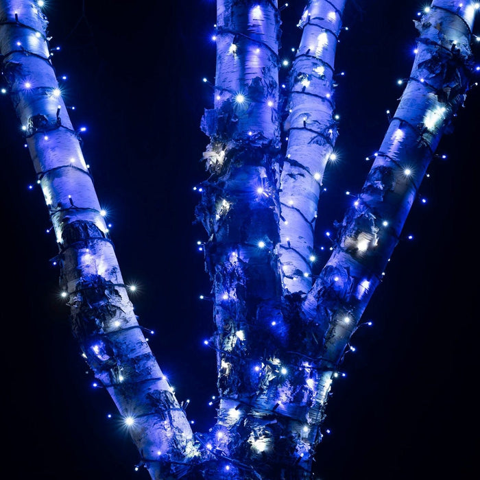 Pro Connect 55m 550 Blue & White Connectable String Lights Black Cable