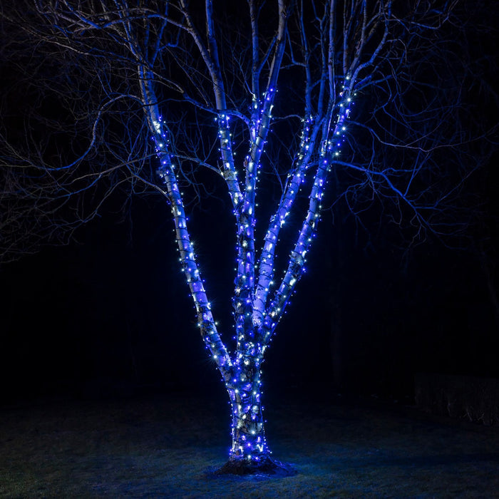 PR50BWB_Blue-and-White-Christmas-Lights-String-Outdoor-Tree.jpg