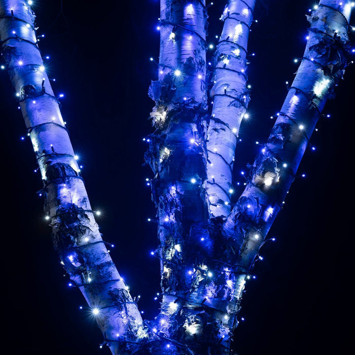 PR50BWB_Blue-and-White-Christmas-Lights-String-Outdoor-Tree-Close_f8cf5836-977e-4d22-9e2f-281405f1b966.jpg