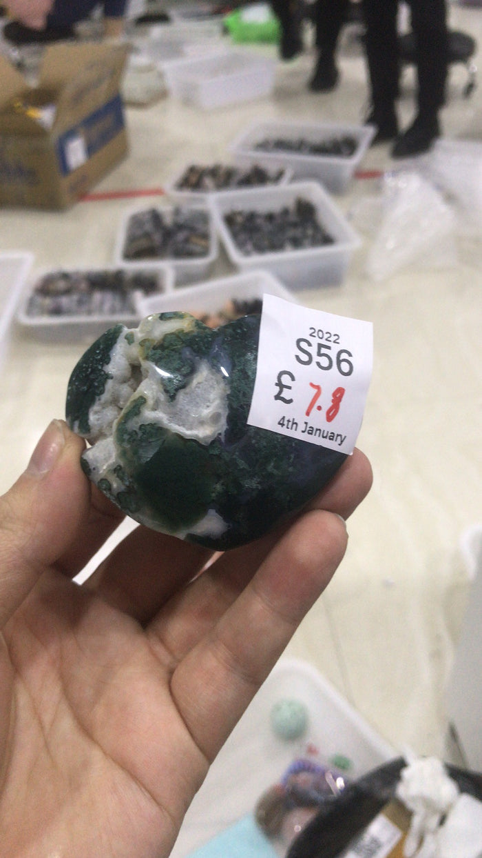 S56