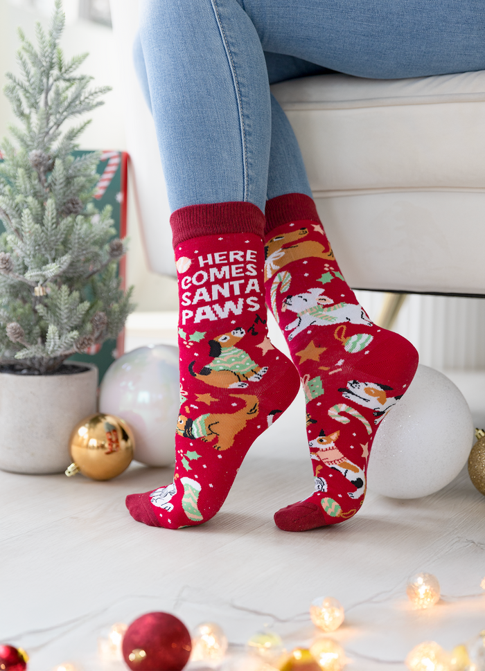 WOMEN'S CHRISTMAS DOGS SANTA PAWS SOCKS - UPTOWN SOX