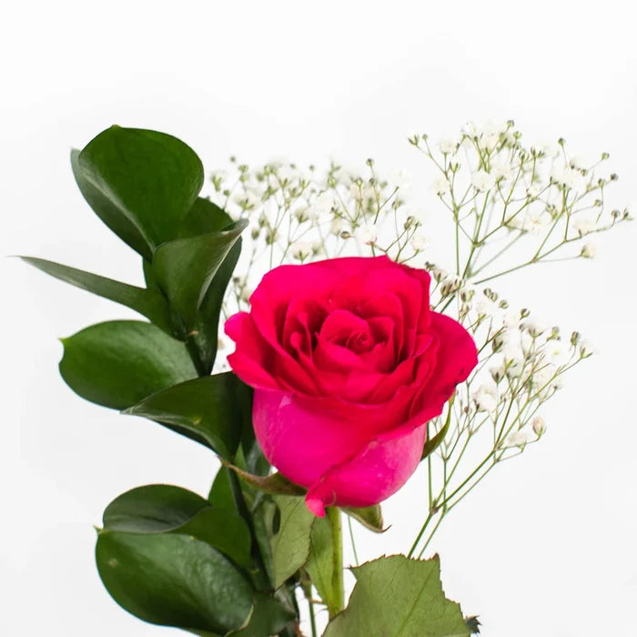 Fundraiser Hot Pink Flower Stem