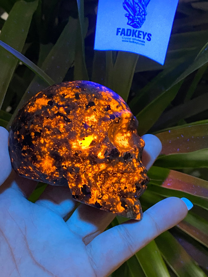 Yooperilite skull