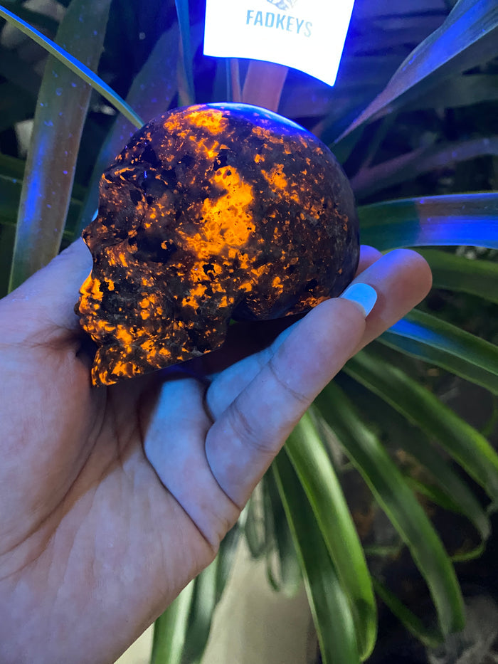Yooperilite skull