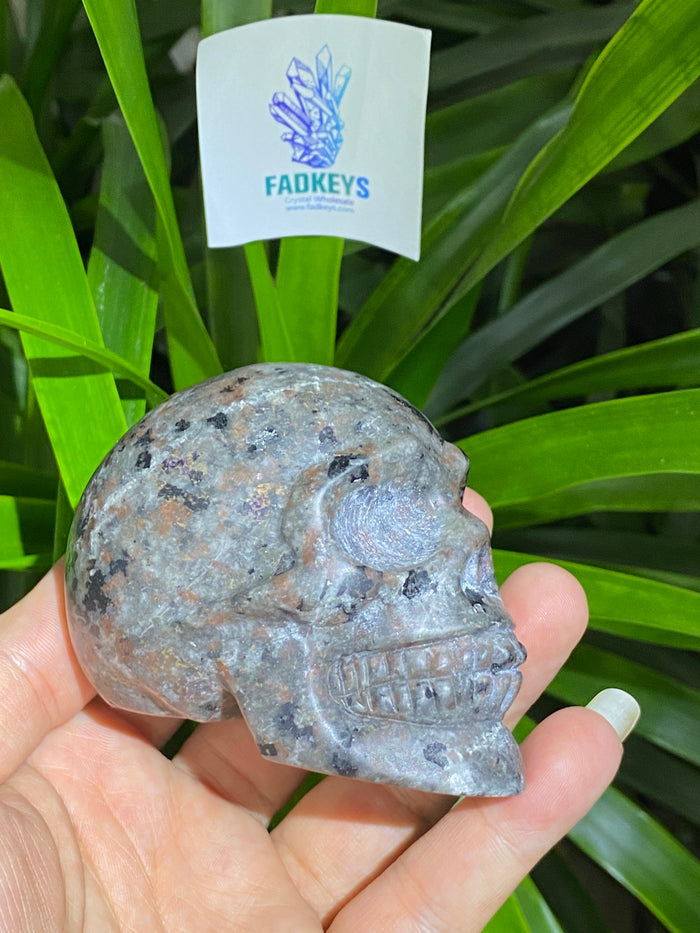 Yooperilite skull